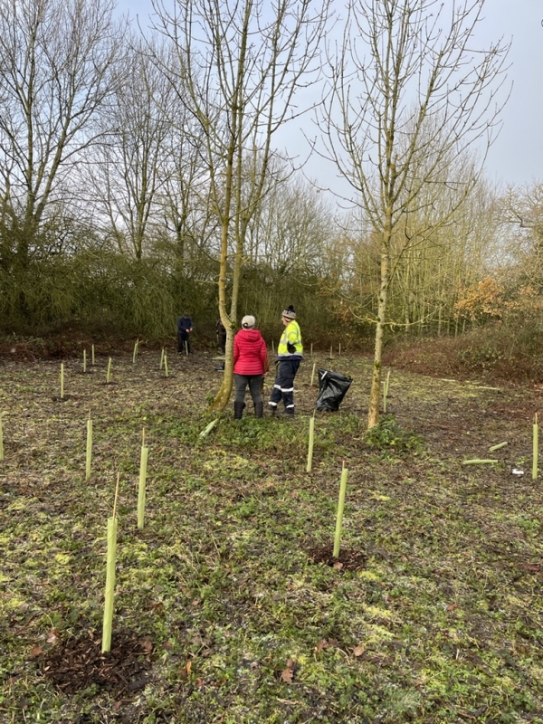 Start of Tree Planting at Penyffordd