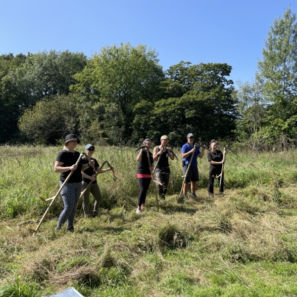 Scything in the sunshine