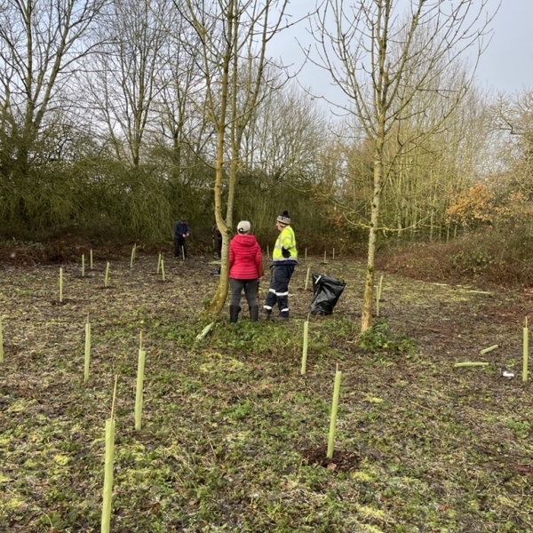 Start of Tree Planting at Penyffordd